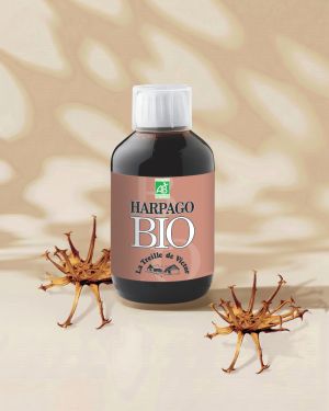 Jus bio Harpagophytum