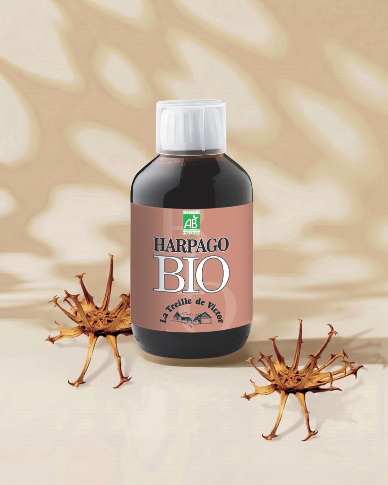 Jus bio Harpagophytum