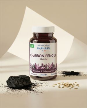 CHARBON ILAPHARM 60 GELULES VUE FACE