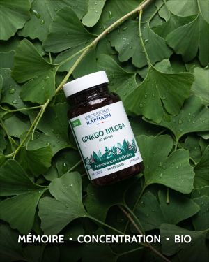 GINKGO BILOBA BIO ILAPHARM 60 GELULES BIENFAITS