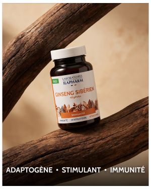 GINSENG SIBERIEN BIO ILAPHARM 60 GELULES BIENFAITS