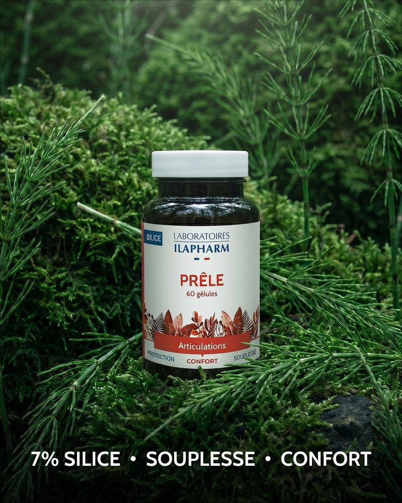 PRELE ILAPHARM 60 GELULES BIENFAITS PRELE ILAPHARM 60 GELULES BIENFAITS