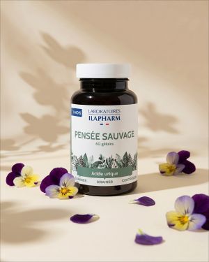 PENSEE SAUVAGE ILAPHARM 60 GELULES VUE FACE