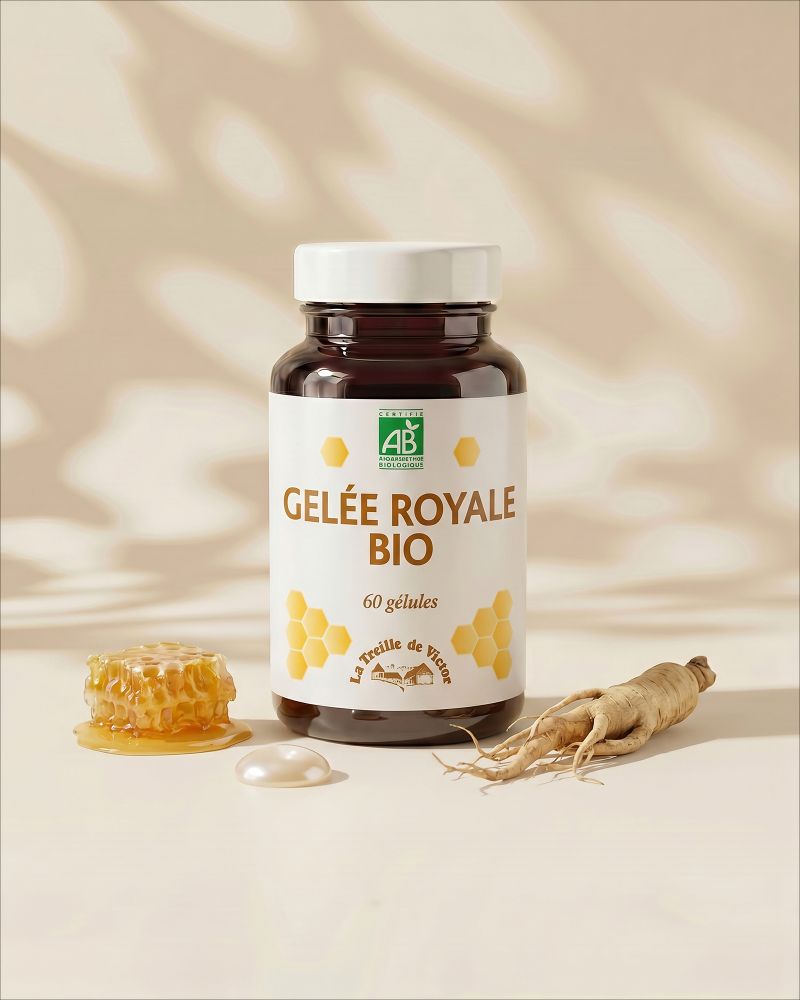 GELEE ROYALE BIO LA TREILLE DE VICTOR 60 GELULES VUE FACE GELEE ROYALE BIO LA TREILLE DE VICTOR 60 GELULES VUE FACE