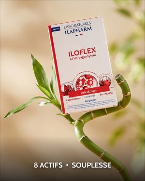 ILOFLEX À L'HARPAGOPHYTUM 60 GELULES ILAPHARM COMPLEMENT ALIMENTAIRE AMBIANCE