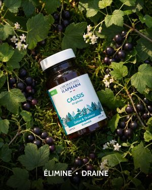 CASSIS BIO 60 GELULES ILAPHARM COMPLEMENT ALIMENTAIRE AMBIANCE