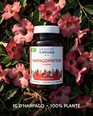 HARPAGOPHYTUM BIO 60 GELULES ILAPHARM COMPLEMENT ALIMENTAIRE AMBIANCE