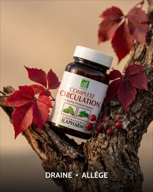 COMPLEXE CIRCULATION BIO ILAPHARM 60 GELULES AMBIANCE