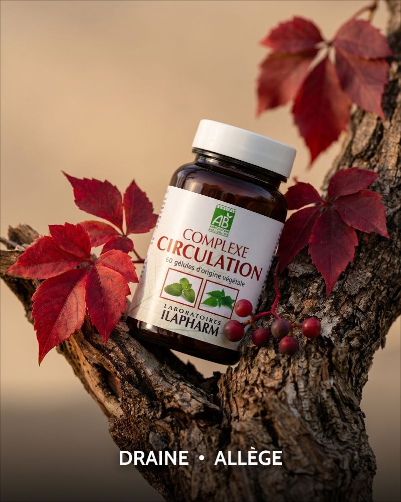 COMPLEXE CIRCULATION BIO ILAPHARM 60 GELULES AMBIANCE