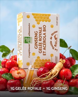 GINSENG GELEE ROYALE ET ACEROLA BIO  10 ampoules ILAPHARM COMPLEMENT ALIMENTAIRE VUE DE FACE
