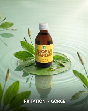SIROP PLANTAIN BIO LA TREILLE DE VICTOR 250 ML VUE FACE