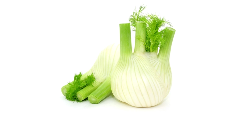 Fenouil