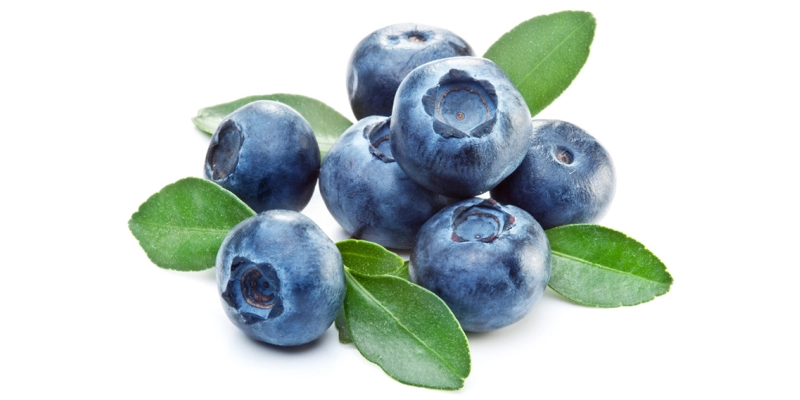Les bienfaits de la Myrtille | Laboratoires ILAPHARM