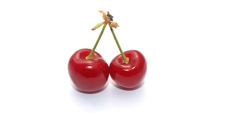 Queue de cerise, bienfaits | Drainer & maigrir naturellement