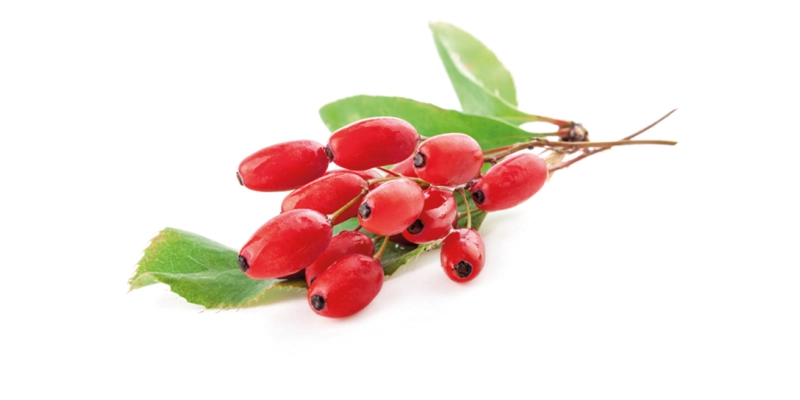 Baie de Goji