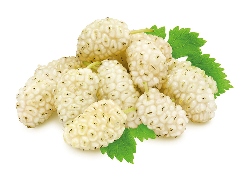 Mûre blanche