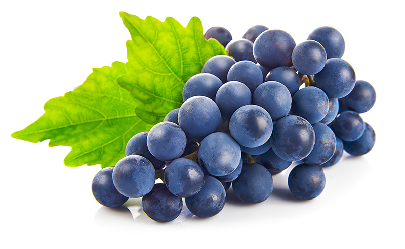 Marc de Raisin