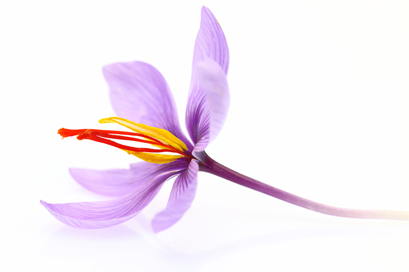Safran
