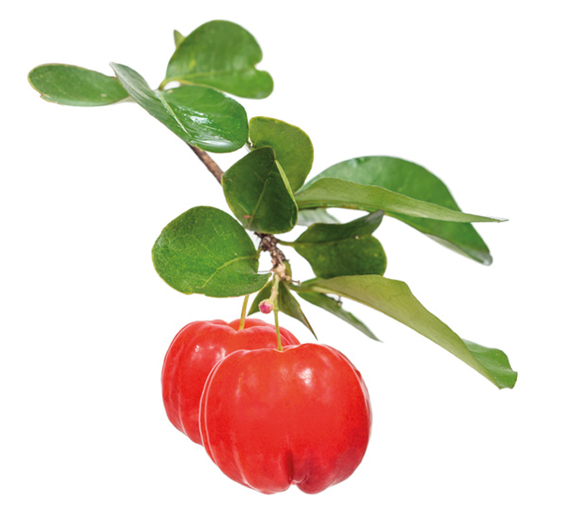 Acérola
