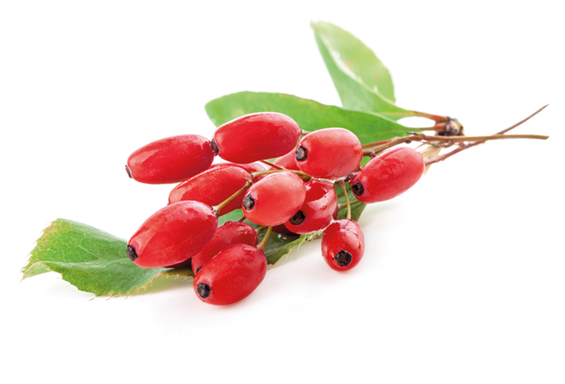 Baie de Goji