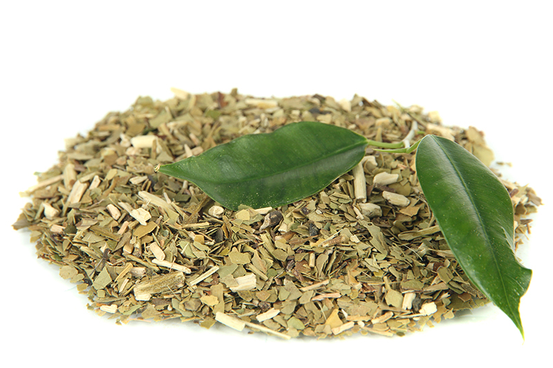 Maté