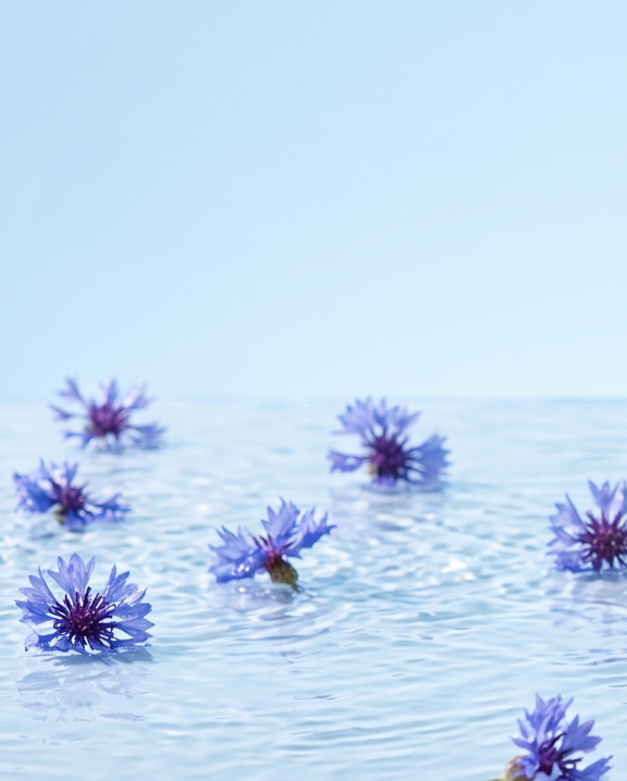 bleuet soin des yeux, laboratoires ILAPHARM