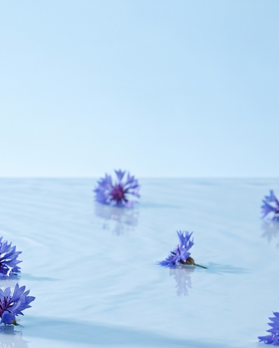 bleuet soin des yeux, laboratoires ILAPHARM