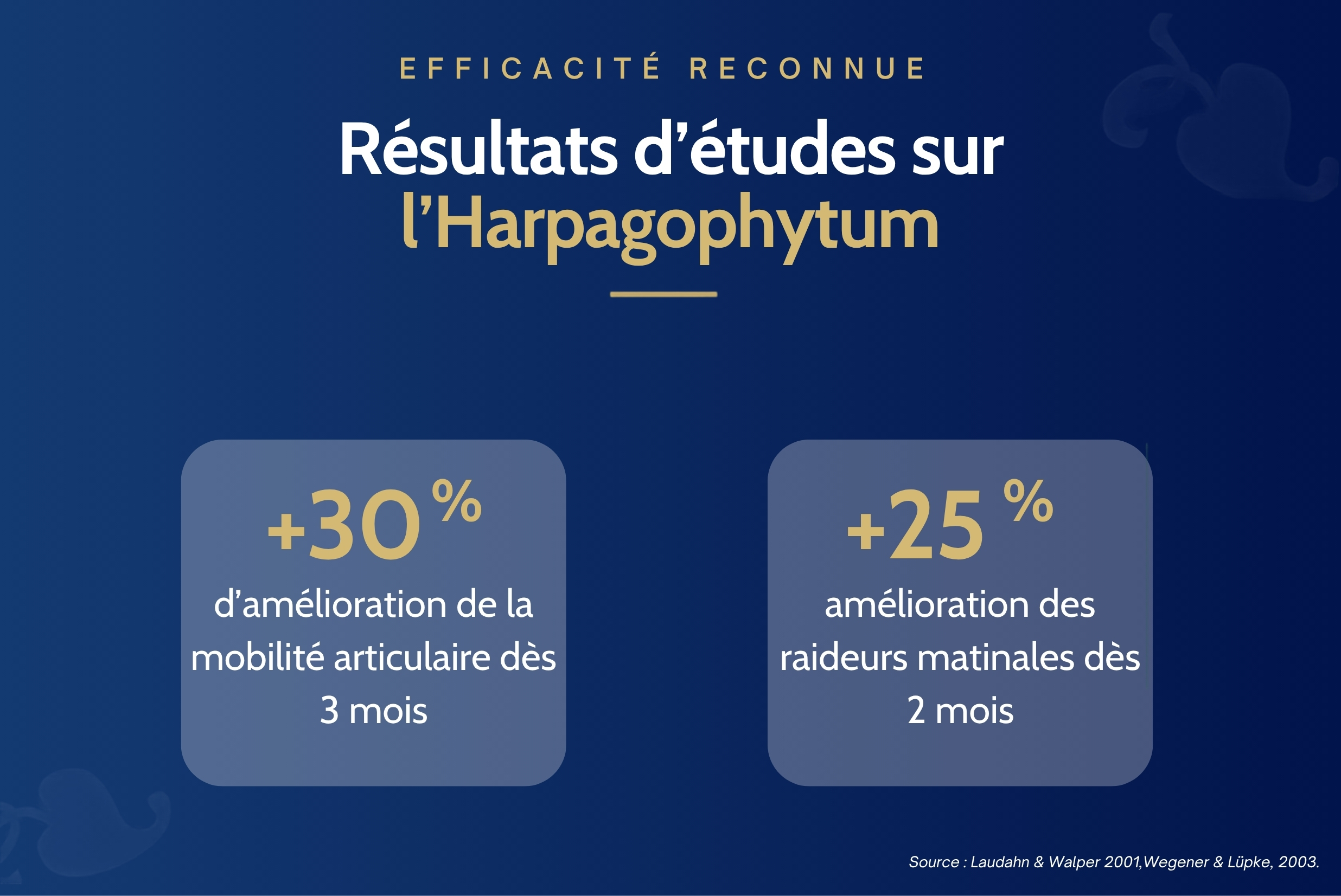 efficacité reconnue de l'harpagophytum