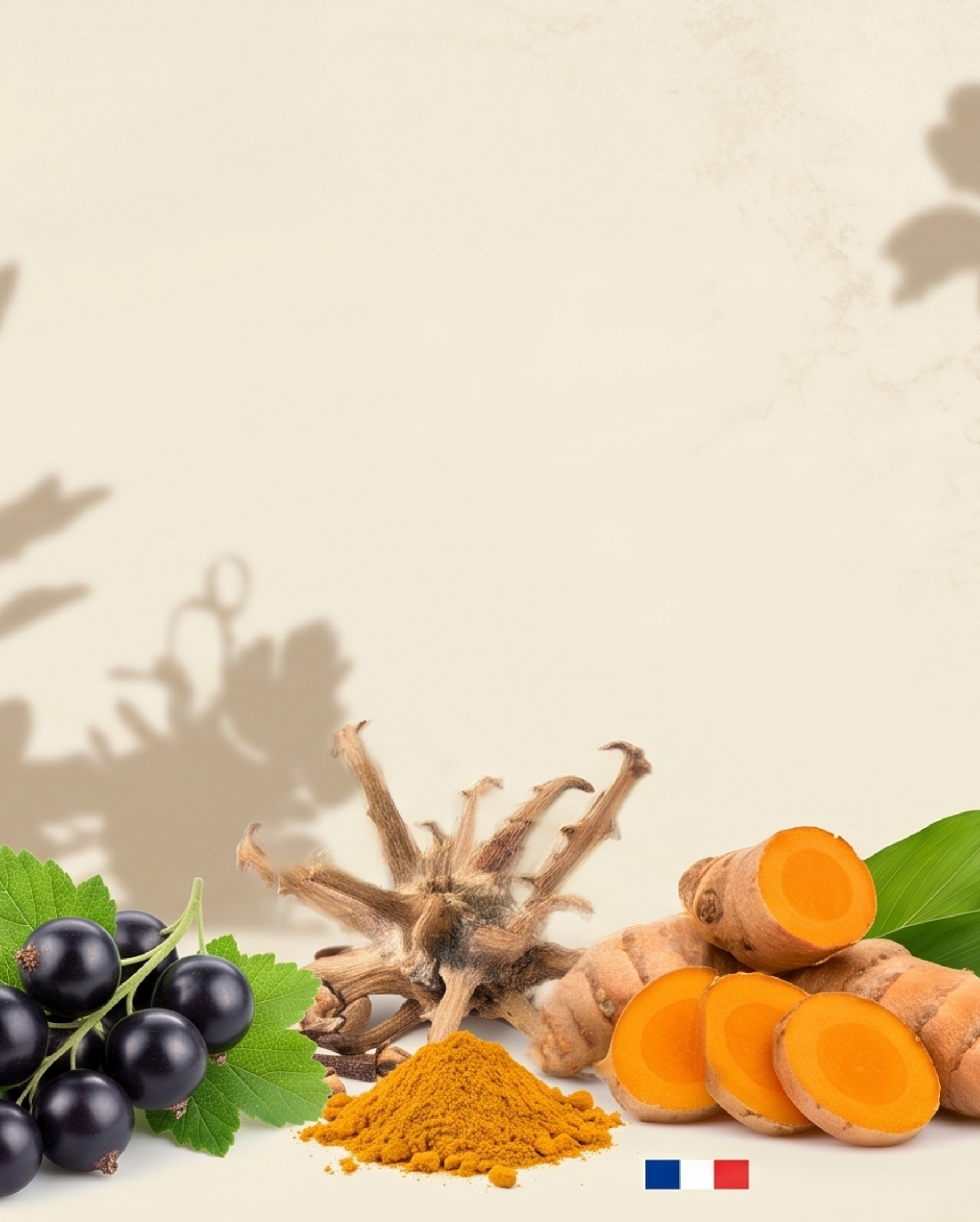 iloflex gel ilapharm complément alimentaire zone sensible