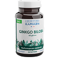 Ginkgo Biloba