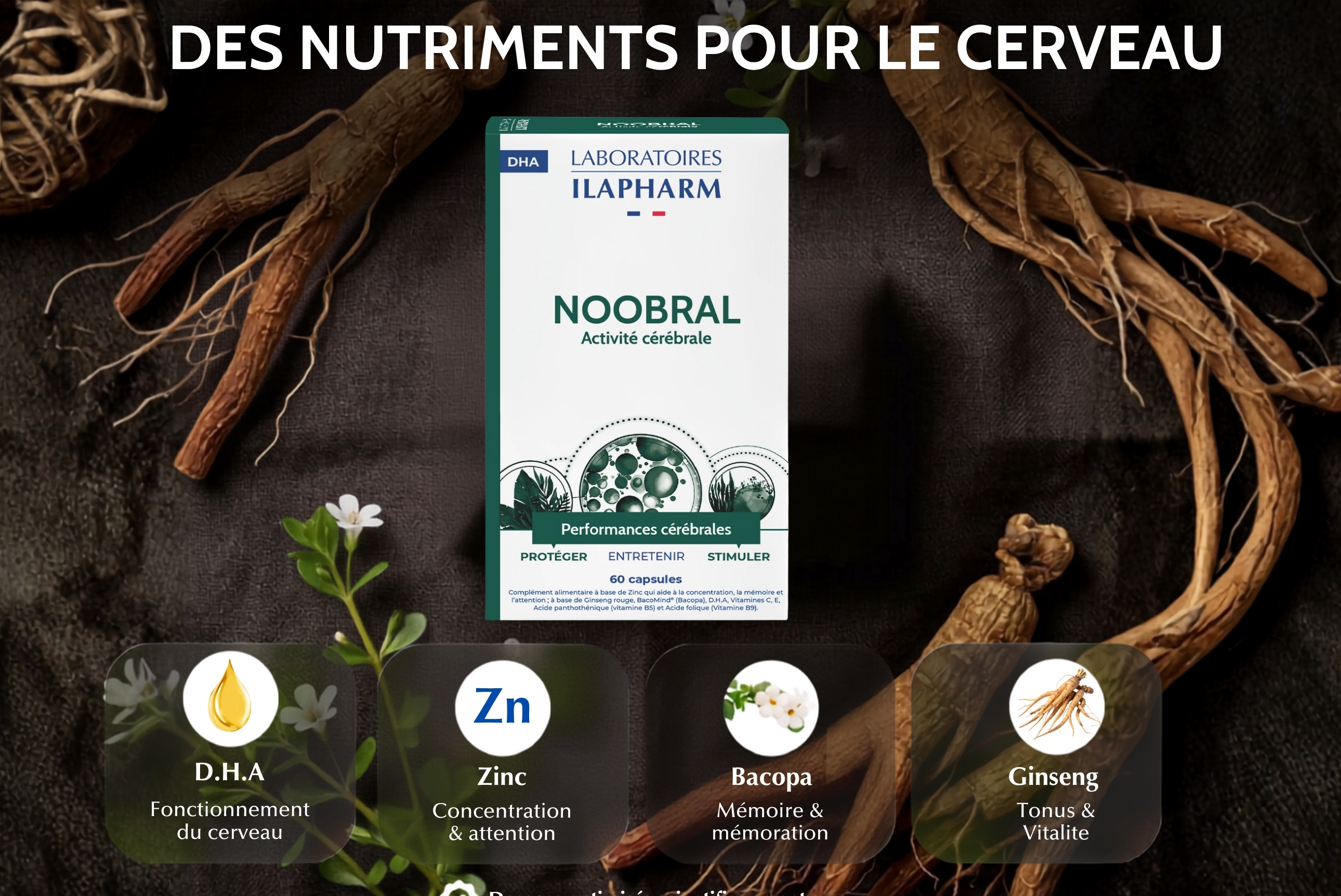 nutriments pour le cerveau