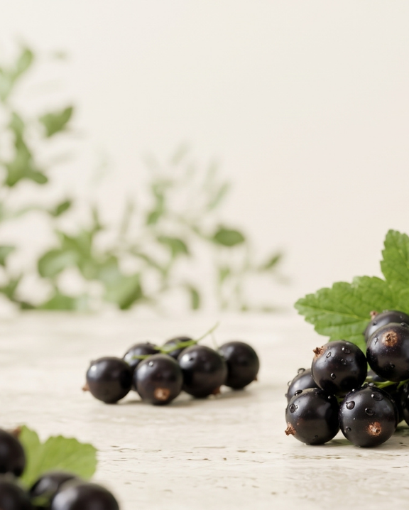 CASSIS Complément alimentaire laboratoires ILAPHARM