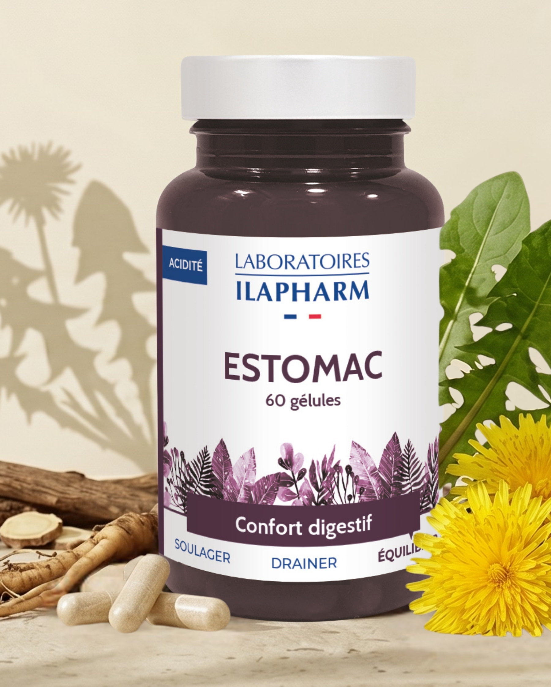 estomac complément alimentaire confort digestif