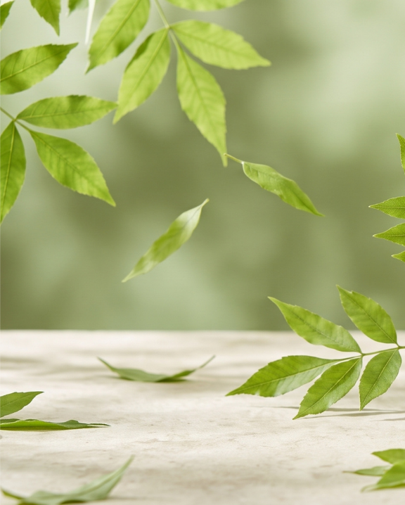 FRENE Complément alimentaire laboratoires ILAPHARM