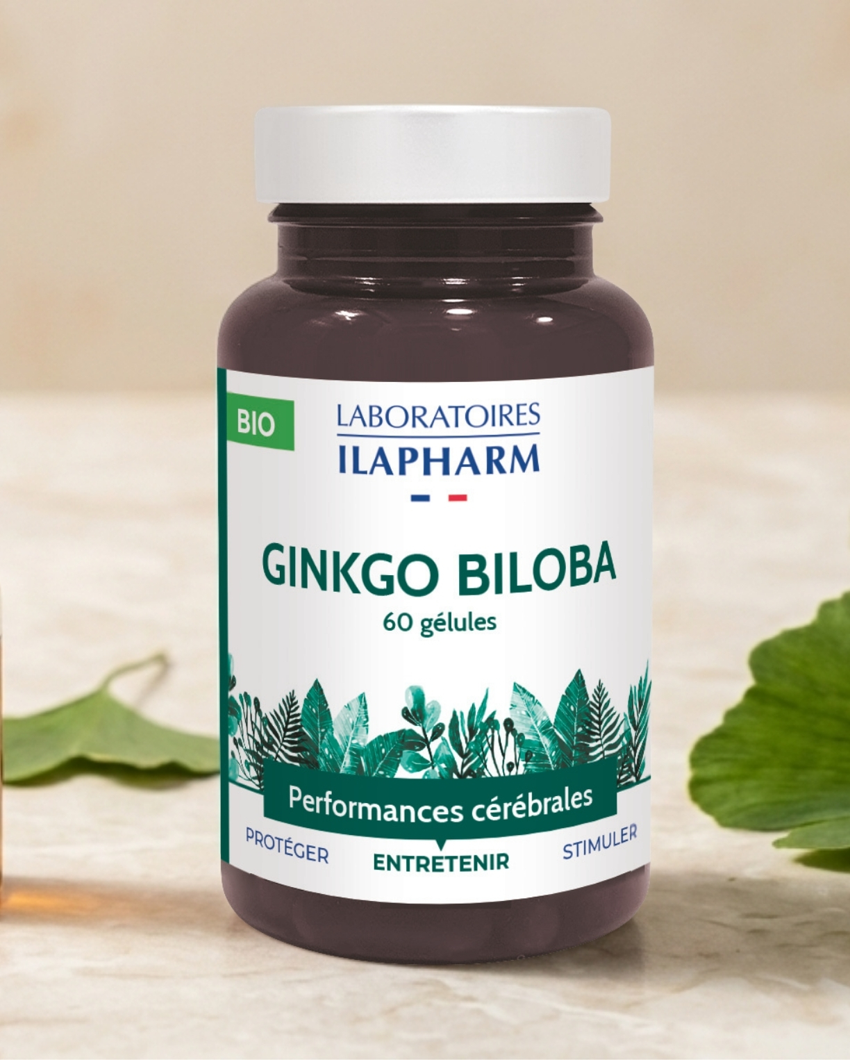 Ginkgo biloba complement alimentaire naturel