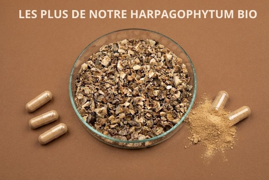 harpagophytum Ilapahrm complément alimentaire articulations
