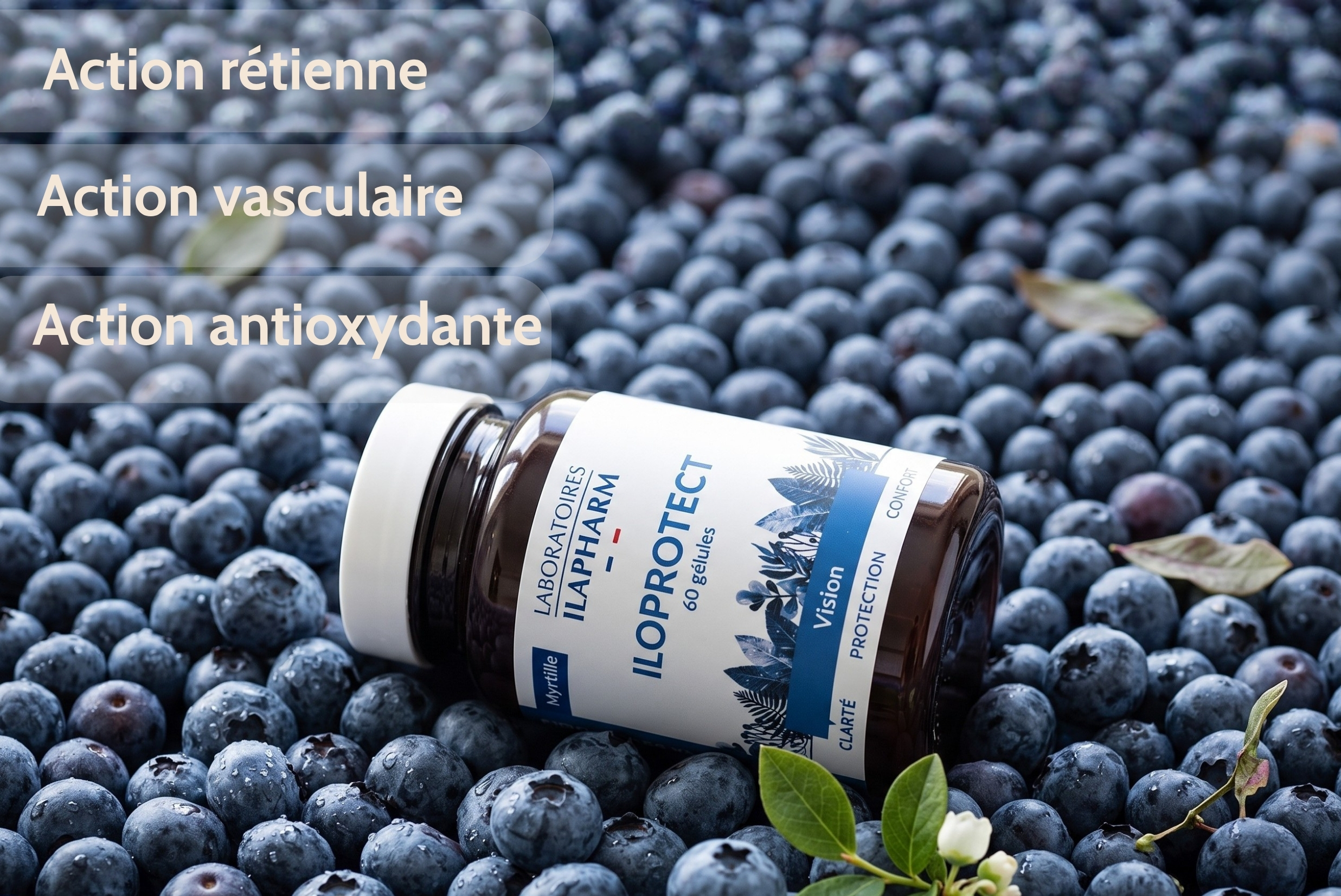 iloprotect myrtille ILAPHARM complément alimentaire rétine