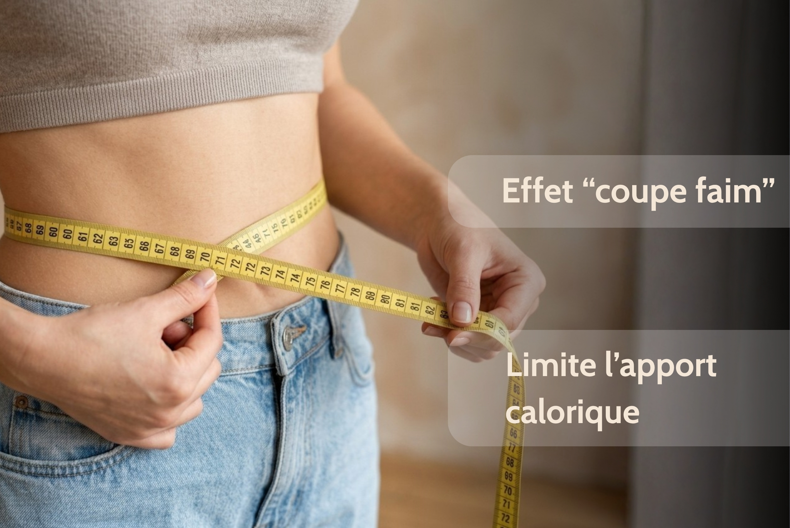 nopal bio complement alimentaire minceur