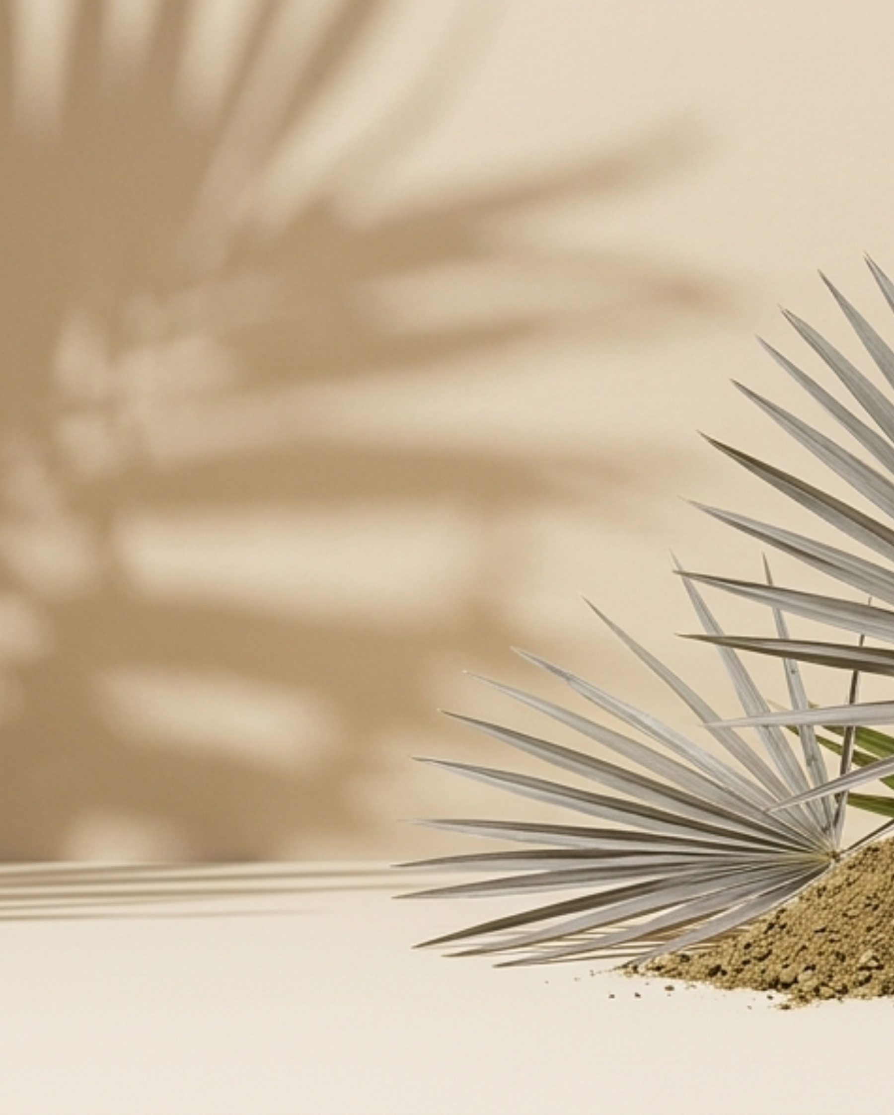 saw palmetto bio complement alimentaire confort urinaire