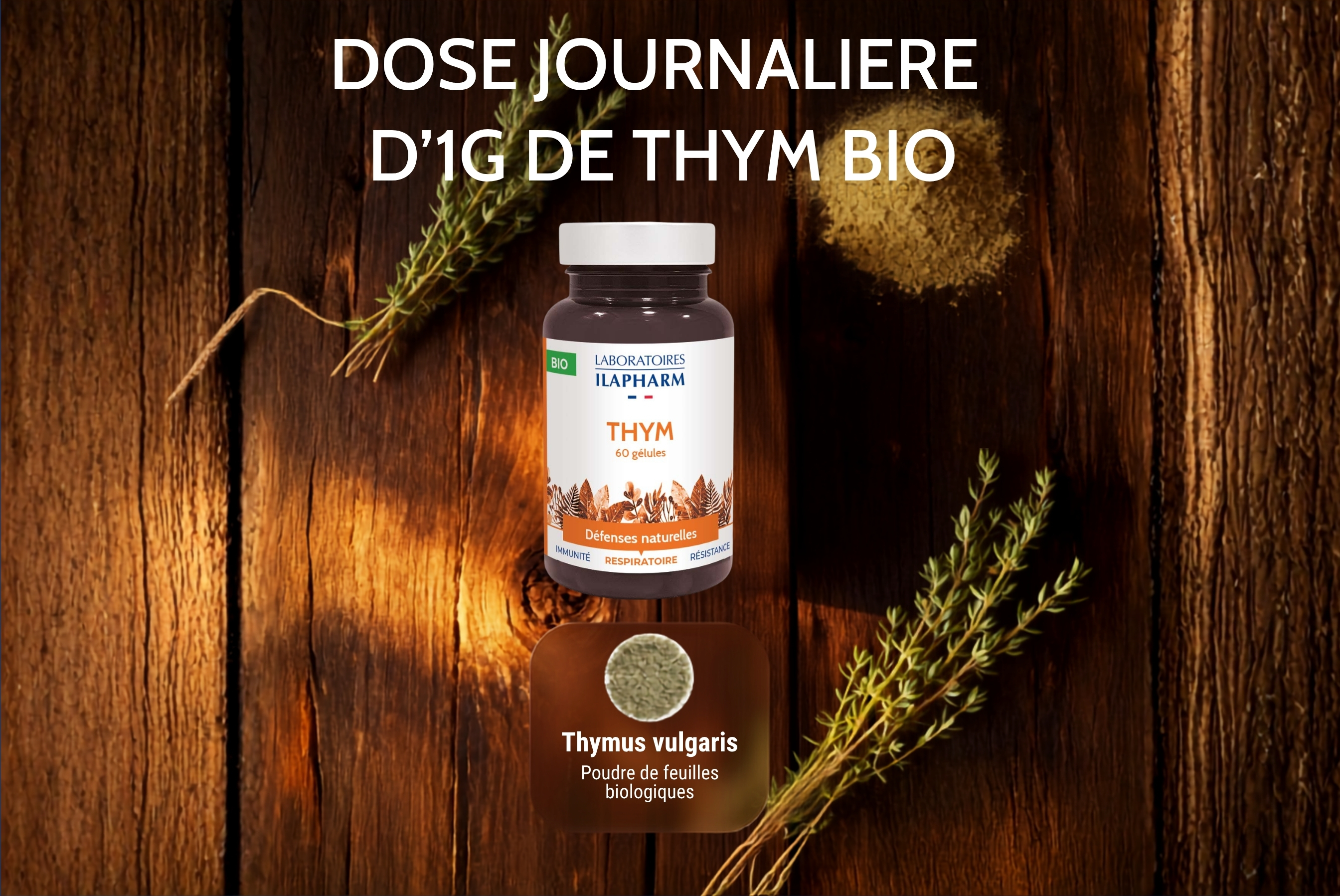 thym bio ilapharm complement alimentaire immunité