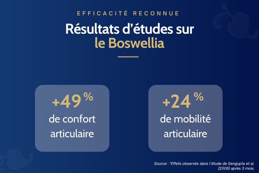 Cannabis boswellia ILAPHARM complément alimentaire articulations