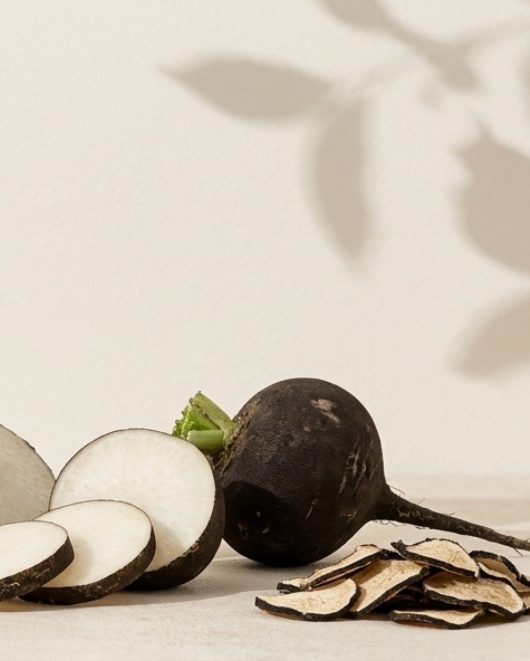 artichaud radis noir complément alimentaire detox et draineur