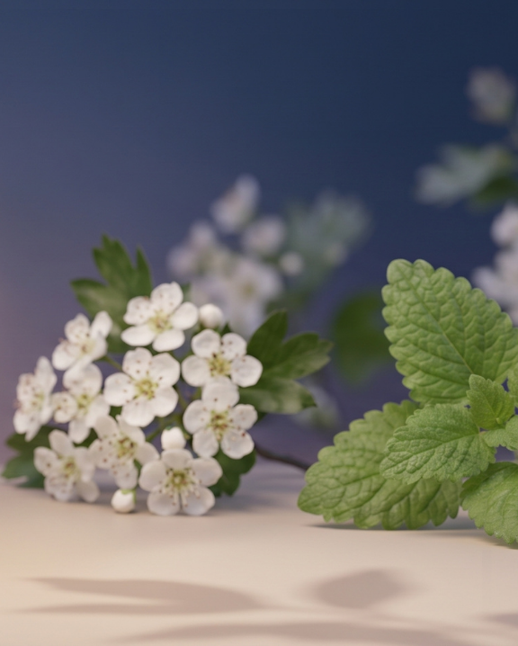 sommeil Complément alimentaire laboratoires ILAPHARM