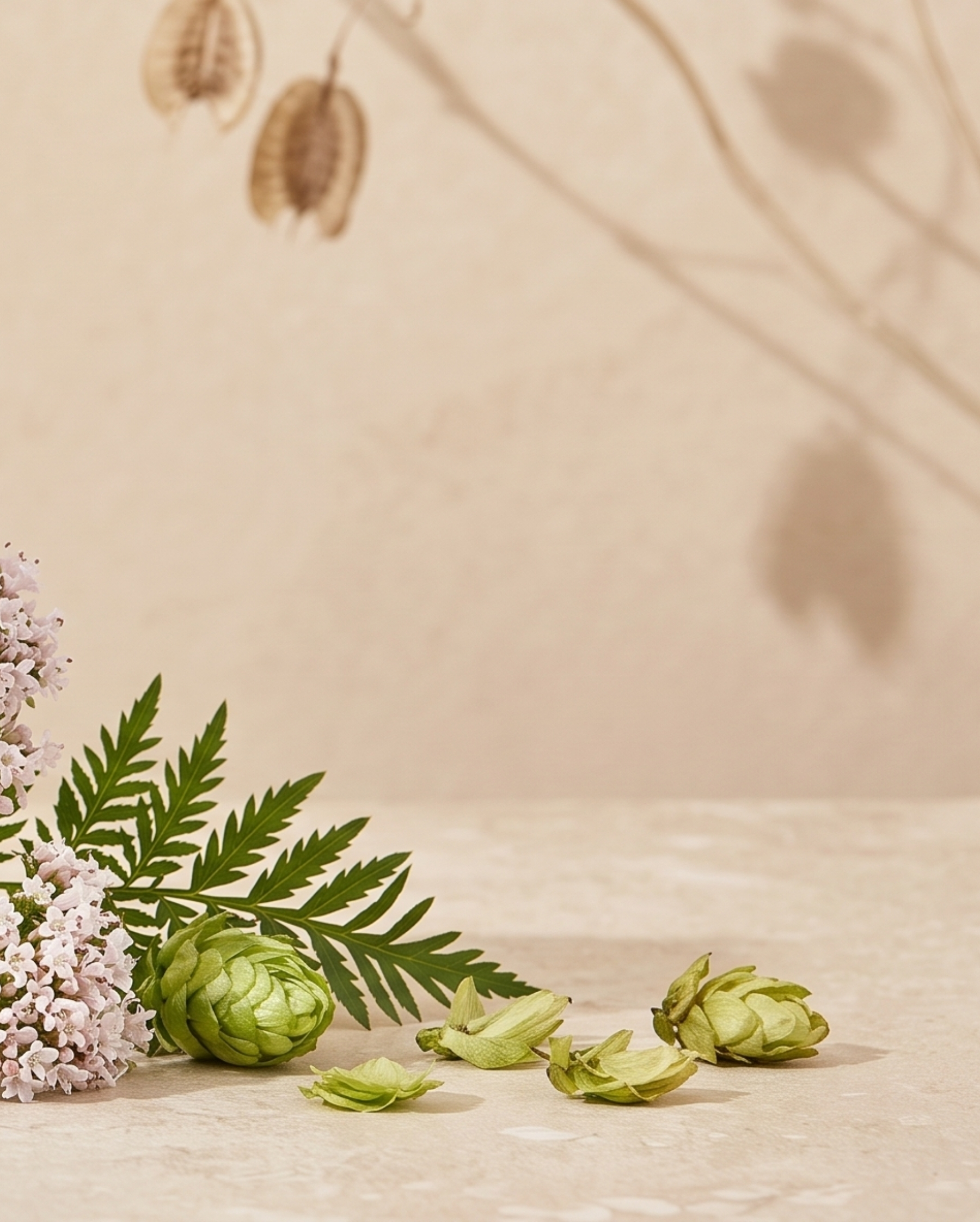 somnimag  ilapharm complement alimentaire sommeil