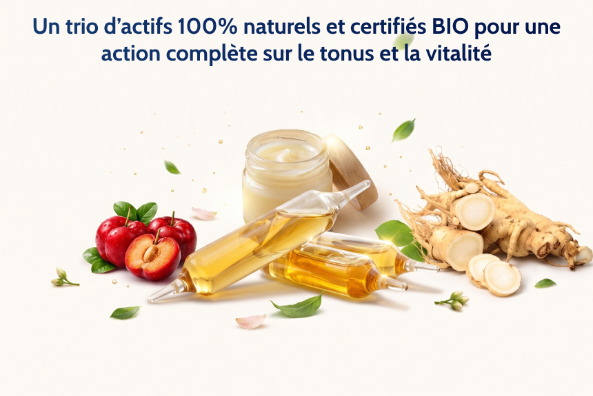Ginseng gelée royale complément alimentaire ILAPHARM