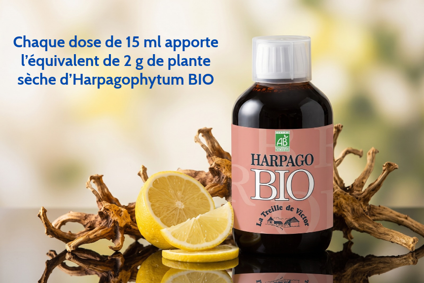 Jus d'harpago complément alimentaire ILAPHARM articulations