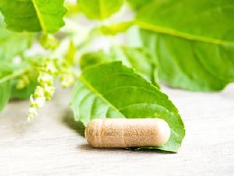 Plantes médicinales BIO ou simples