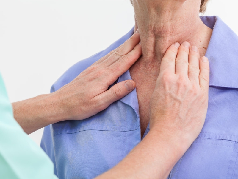 Les hormones thyroïdiennes, un rôle clé