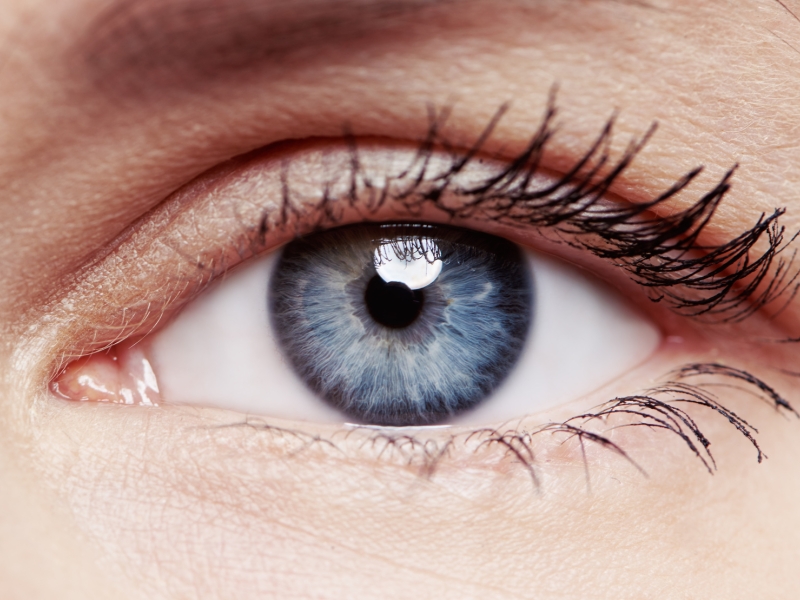 Des nutriments pour la santé des yeux