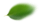 Feuille